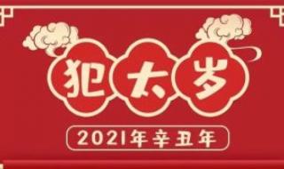 2021年阳历十二月十九日这天属相